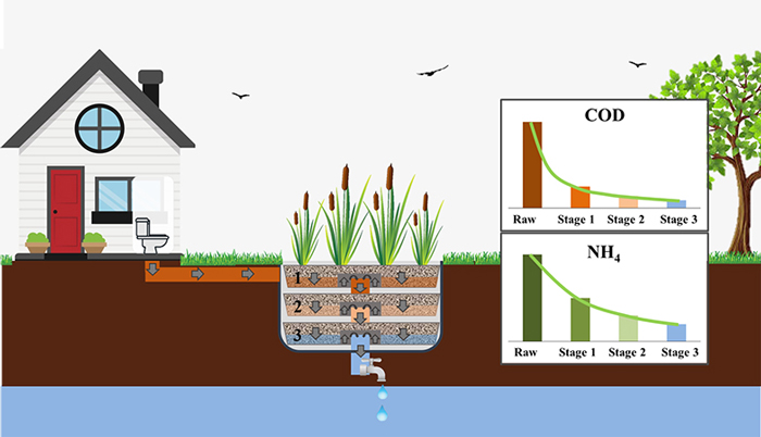 Phương pháp bãi lọc trồng cây xử lý nước thải